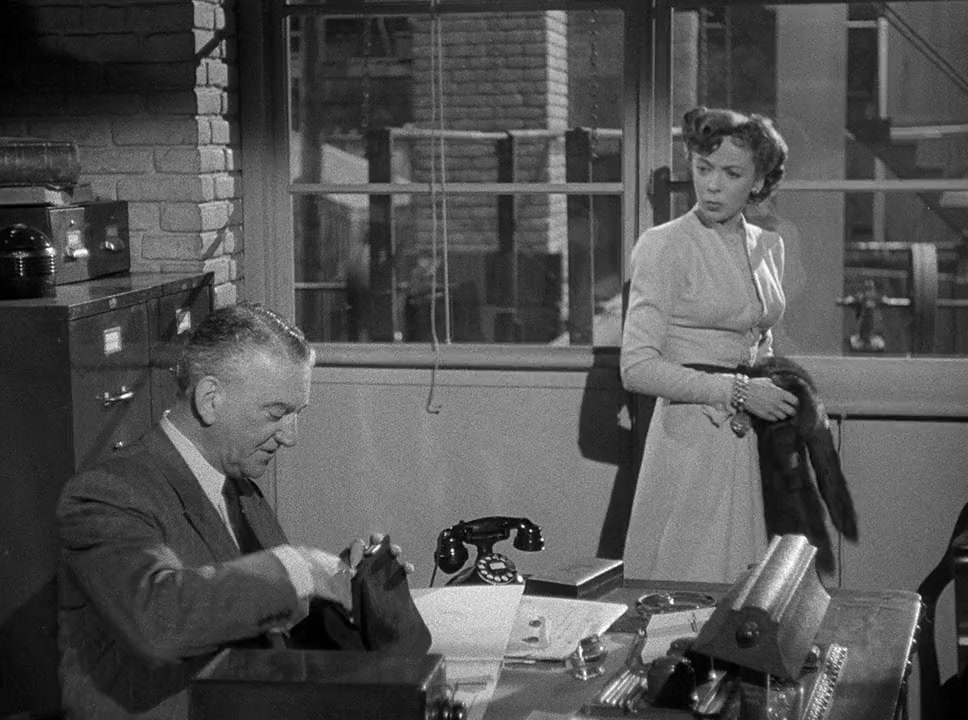 Woman in Hiding screenshot 1
