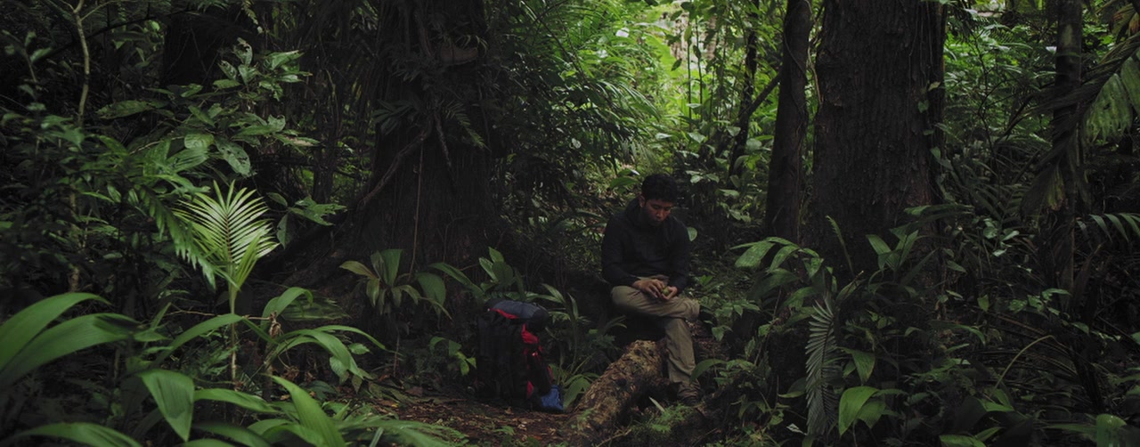 Woman in the Woods screenshot 2