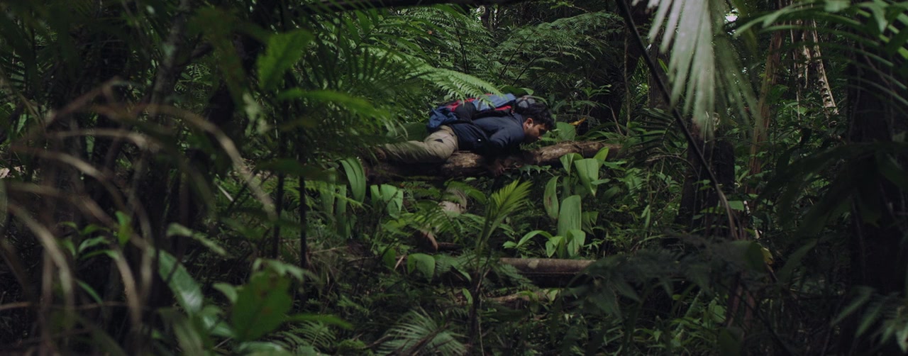 Woman in the Woods screenshot 3
