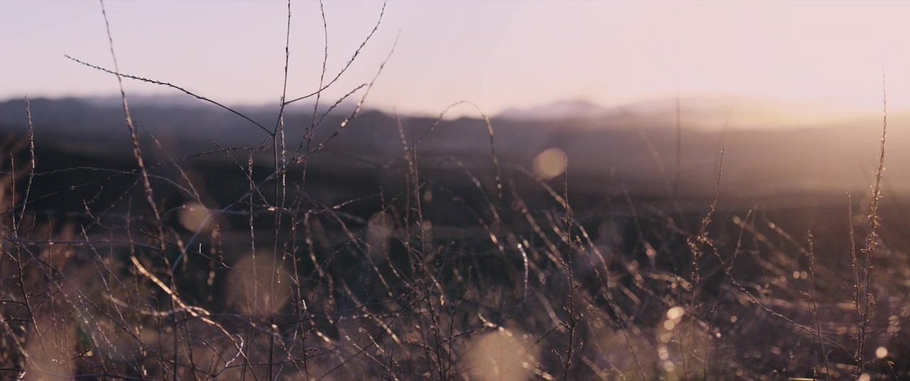Woman of the Hour screenshot 3