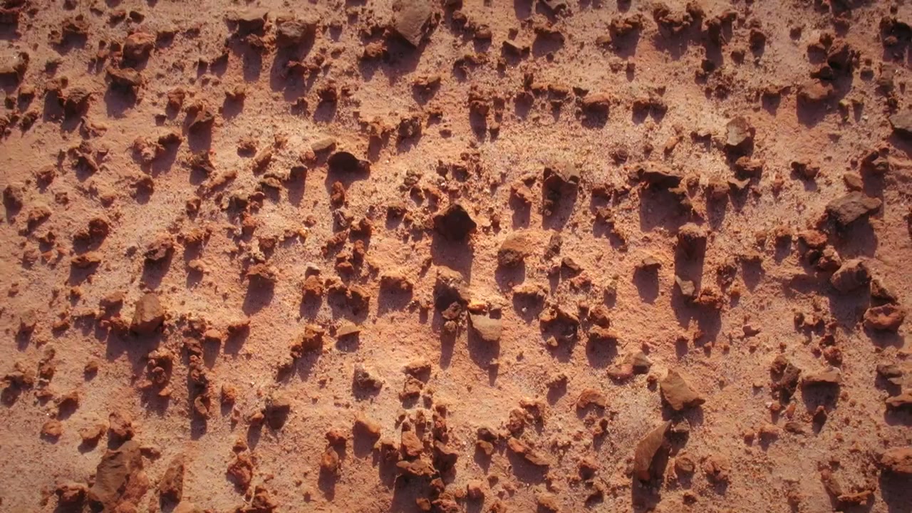 Women on Mars screenshot 1