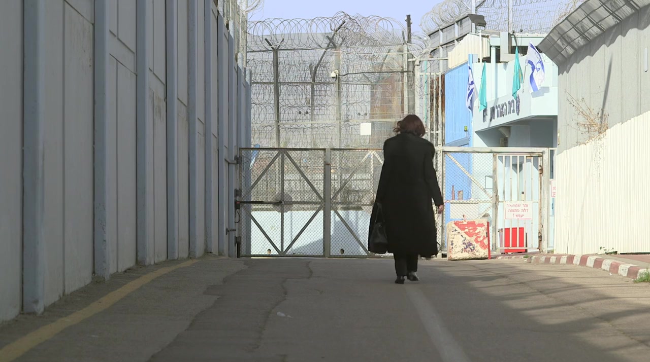 Women of Freedom screenshot 3