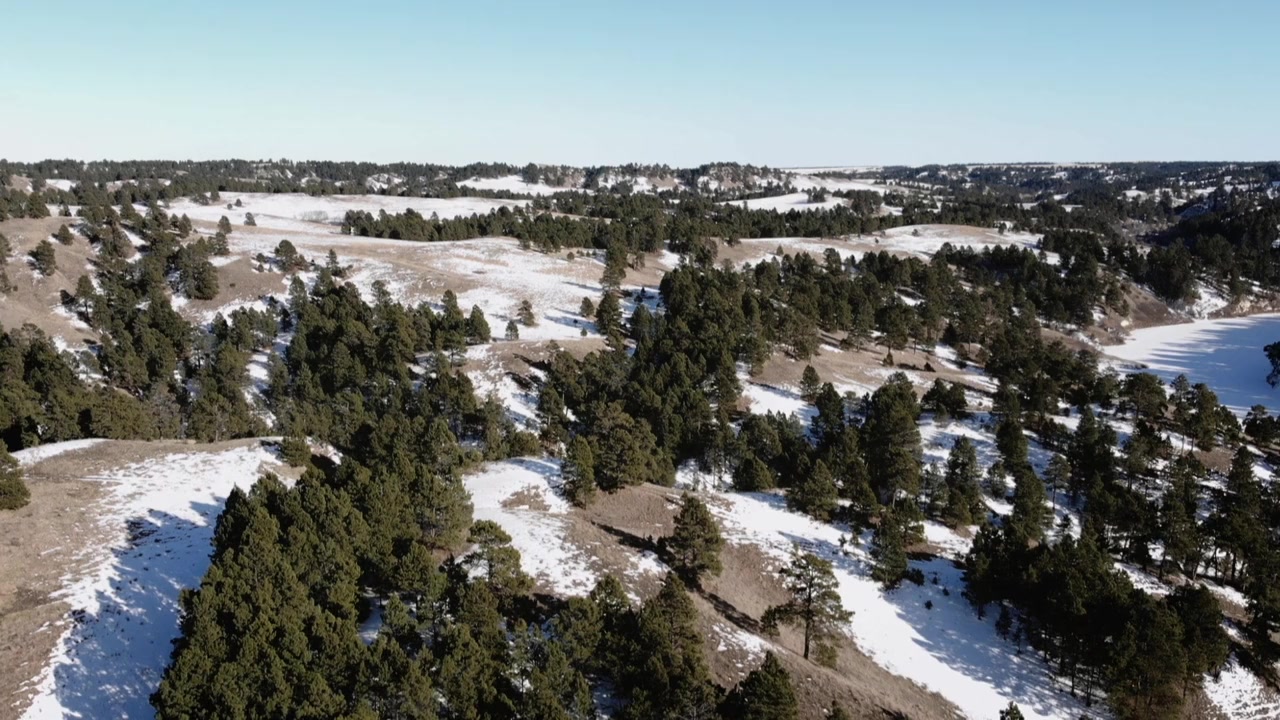 Women of the White Buffalo screenshot 1