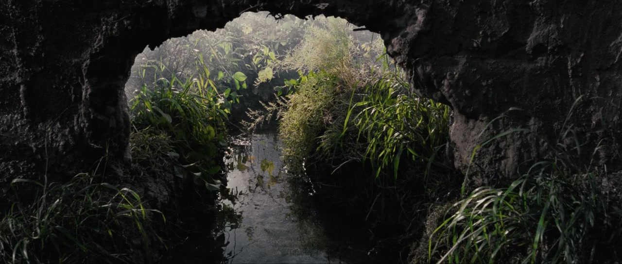 Zanan-e bedun-e mardan screenshot 1