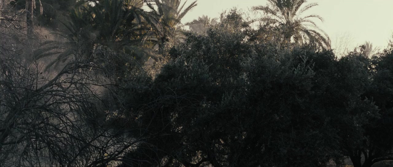 Zanan-e bedun-e mardan screenshot 2