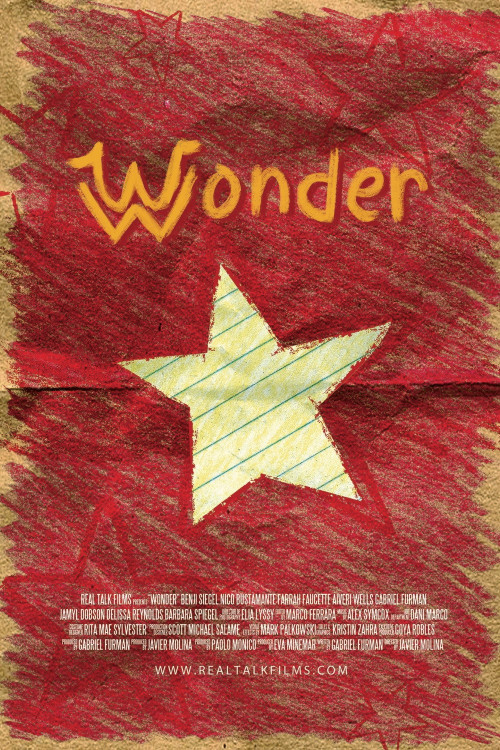 Wonder (2019) poster