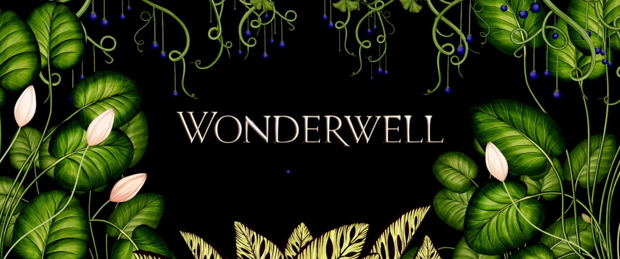 Wonderwell screenshot 1