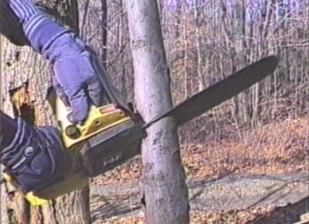 Woodchipper Massacre screenshot 2