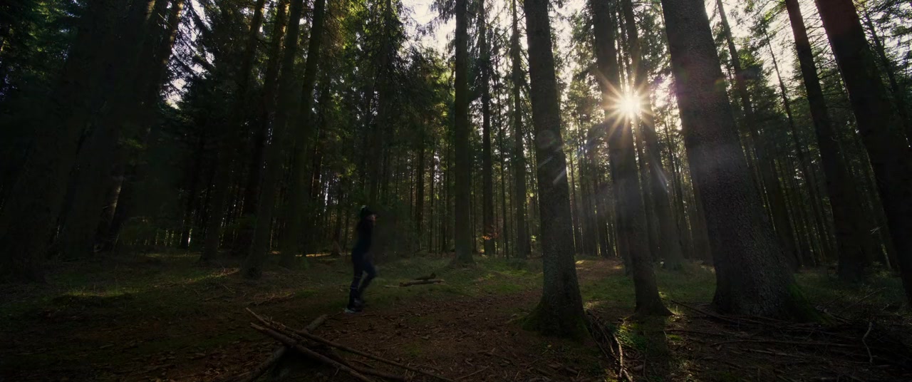 Wald screenshot 2