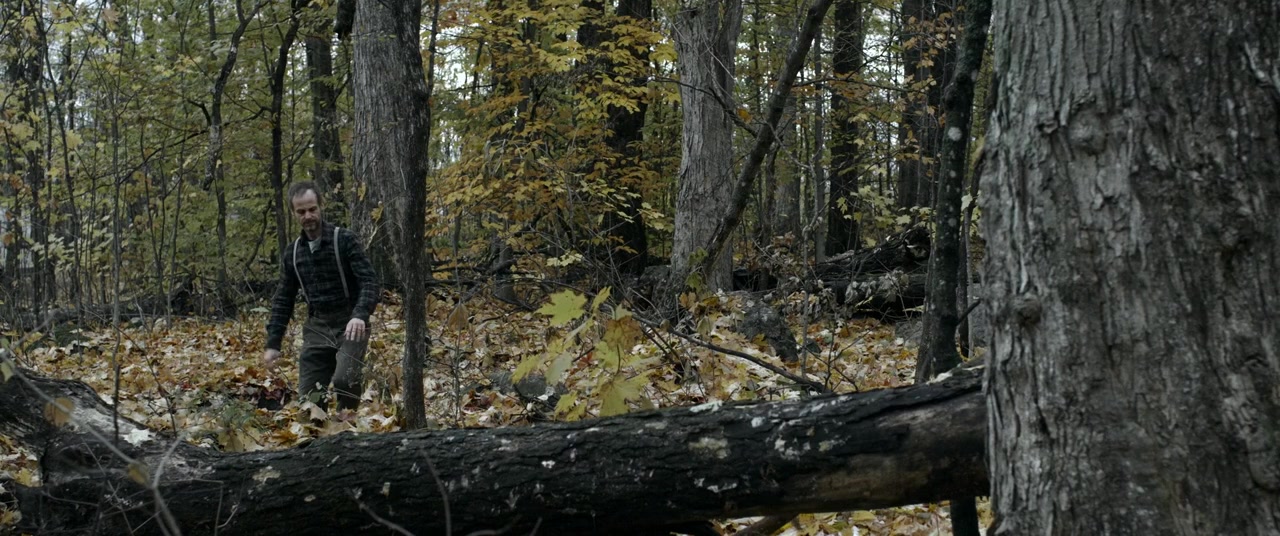 Woodland Grey screenshot 2
