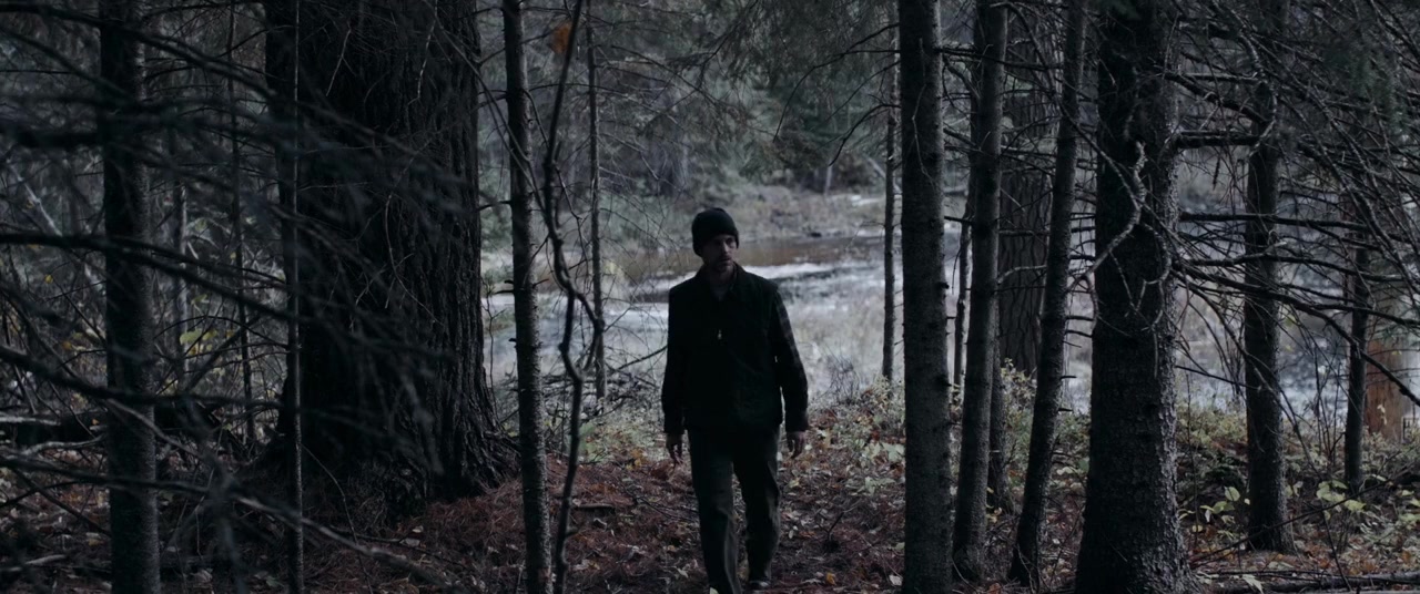 Woodland Grey screenshot 3