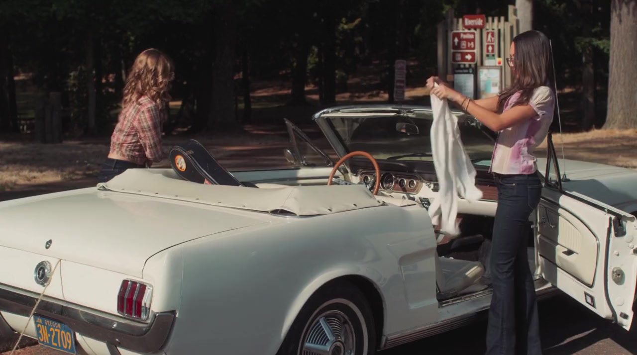 Woodstock or Bust screenshot 3