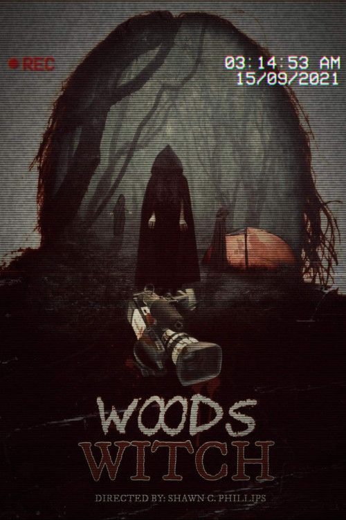 Woods Witch (2023) poster