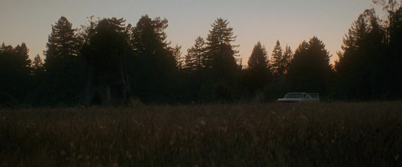 Woodshock screenshot 2