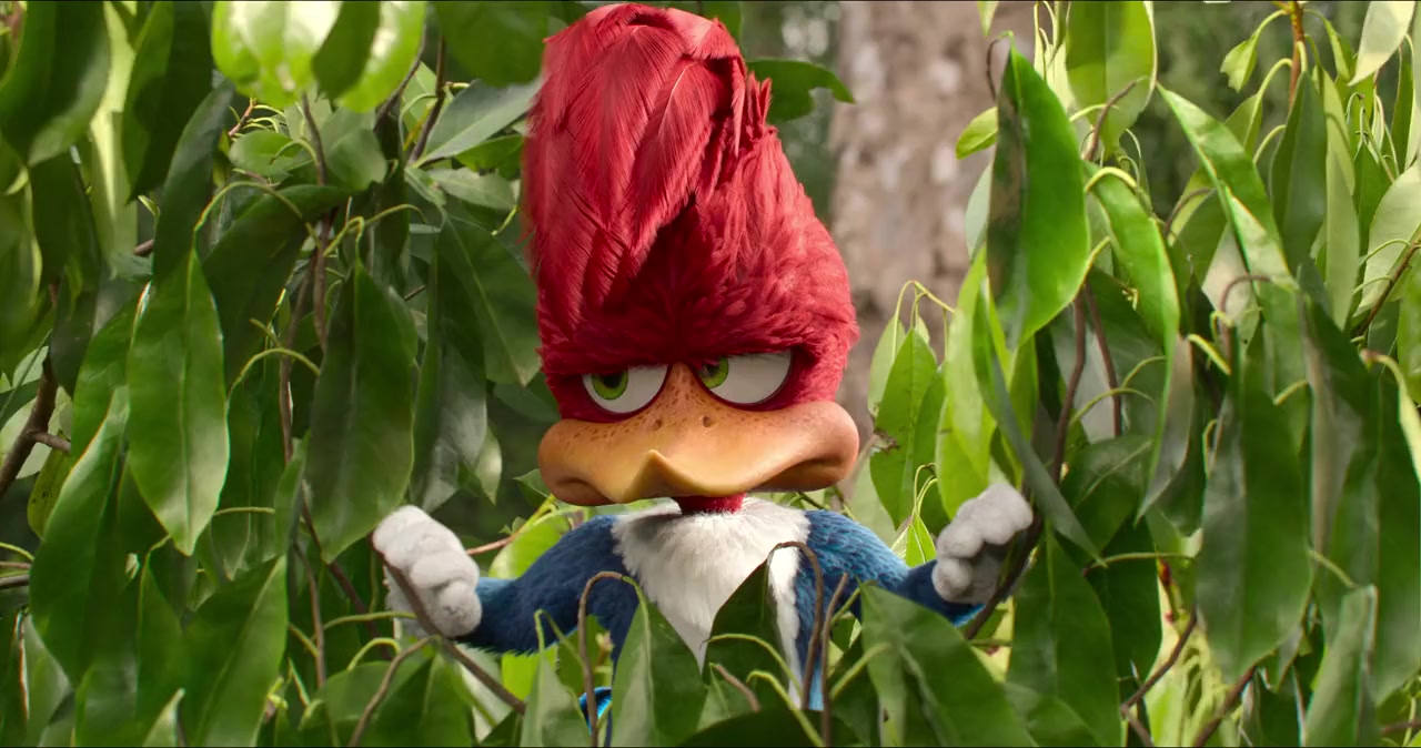Woody Woodpecker Goes to Camp screenshot 3