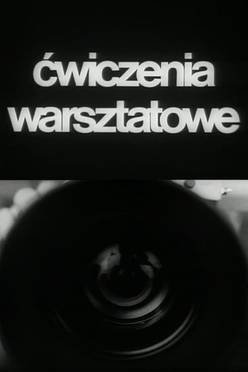 Cwiczenia warsztatowe (1987) poster