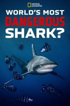 World's Most Dangerous Shark? (2021) poster