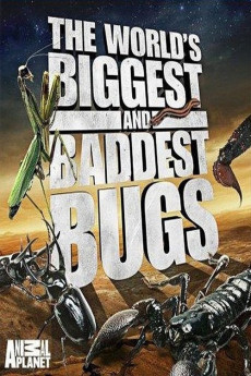 World's Biggest and Baddest Bugs (2004) poster