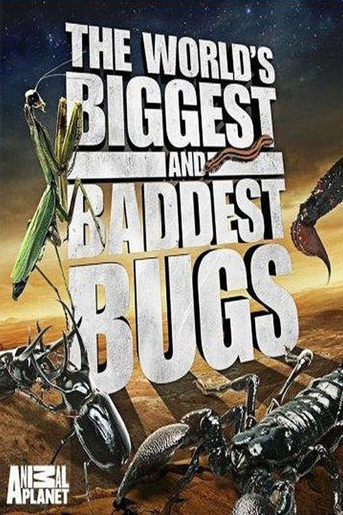 World's Biggest and Baddest Bugs (2004) poster
