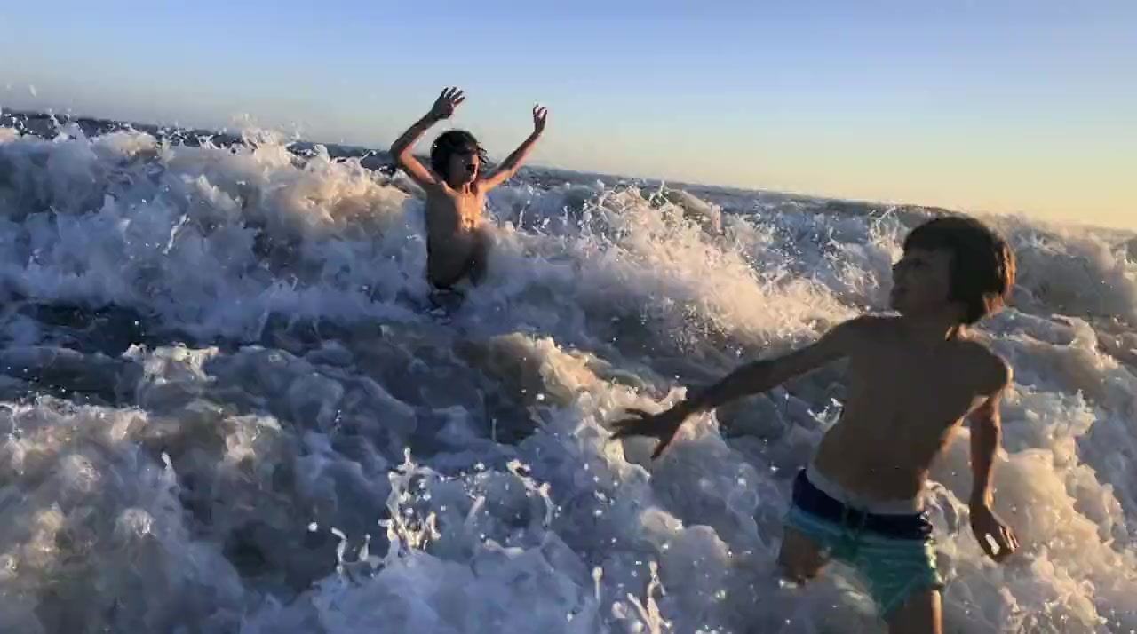 World's Biggest Bull Shark? screenshot 2