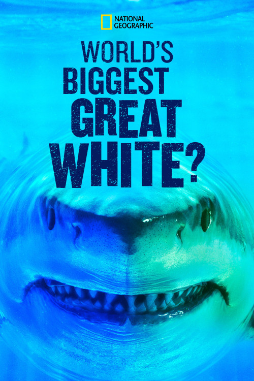 World's Biggest Great White Shark (2019) poster