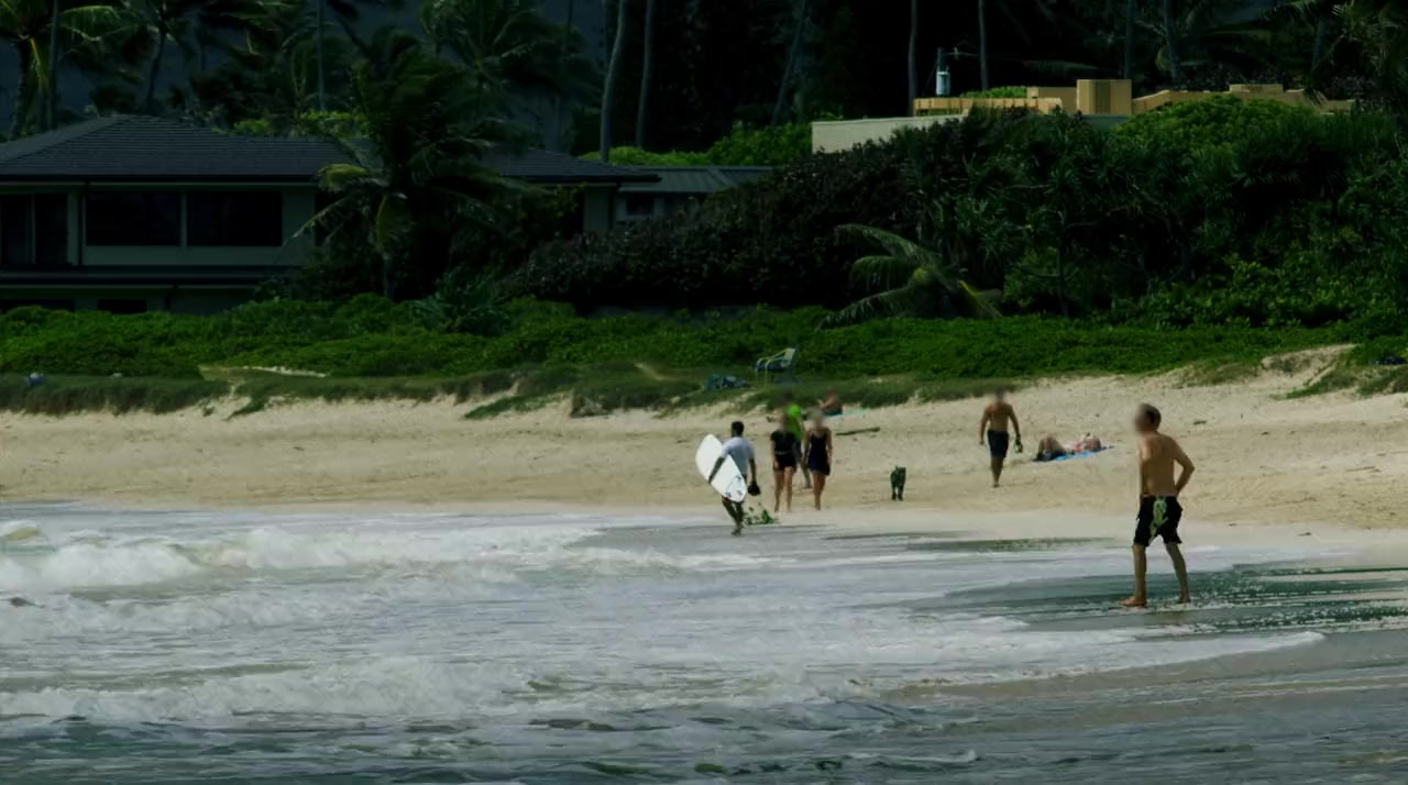 World's Biggest Great White Shark screenshot 3