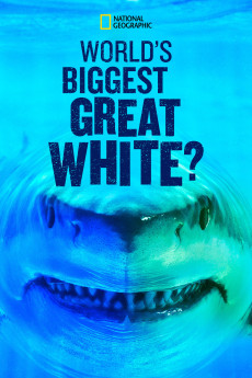 World's Biggest Great White Shark (2019) poster