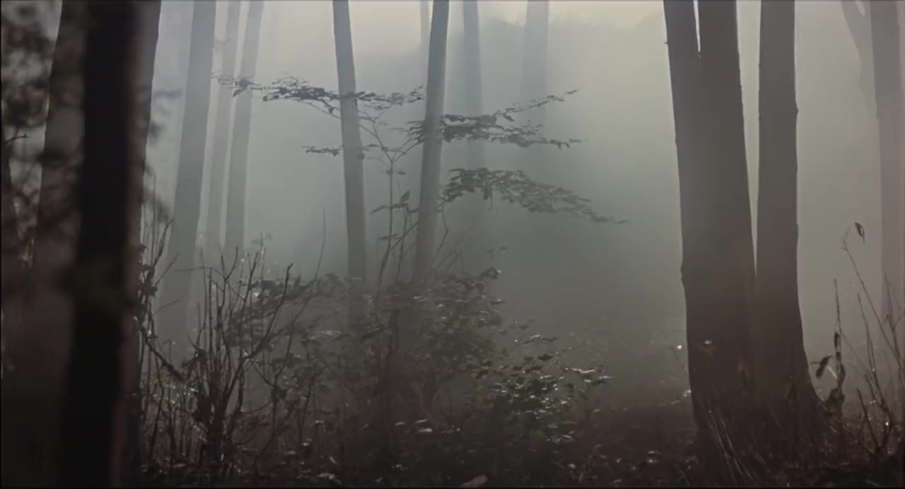 Watchers screenshot 3