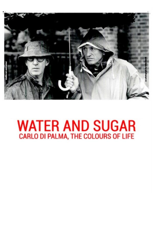 Acqua e zucchero: Carlo Di Palma, i colori della vita (2016) poster