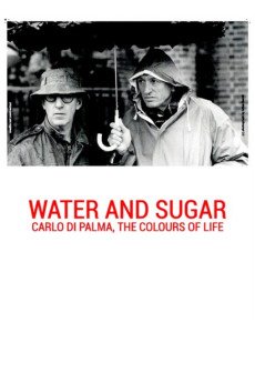 Acqua e zucchero: Carlo Di Palma, i colori della vita (2016) poster