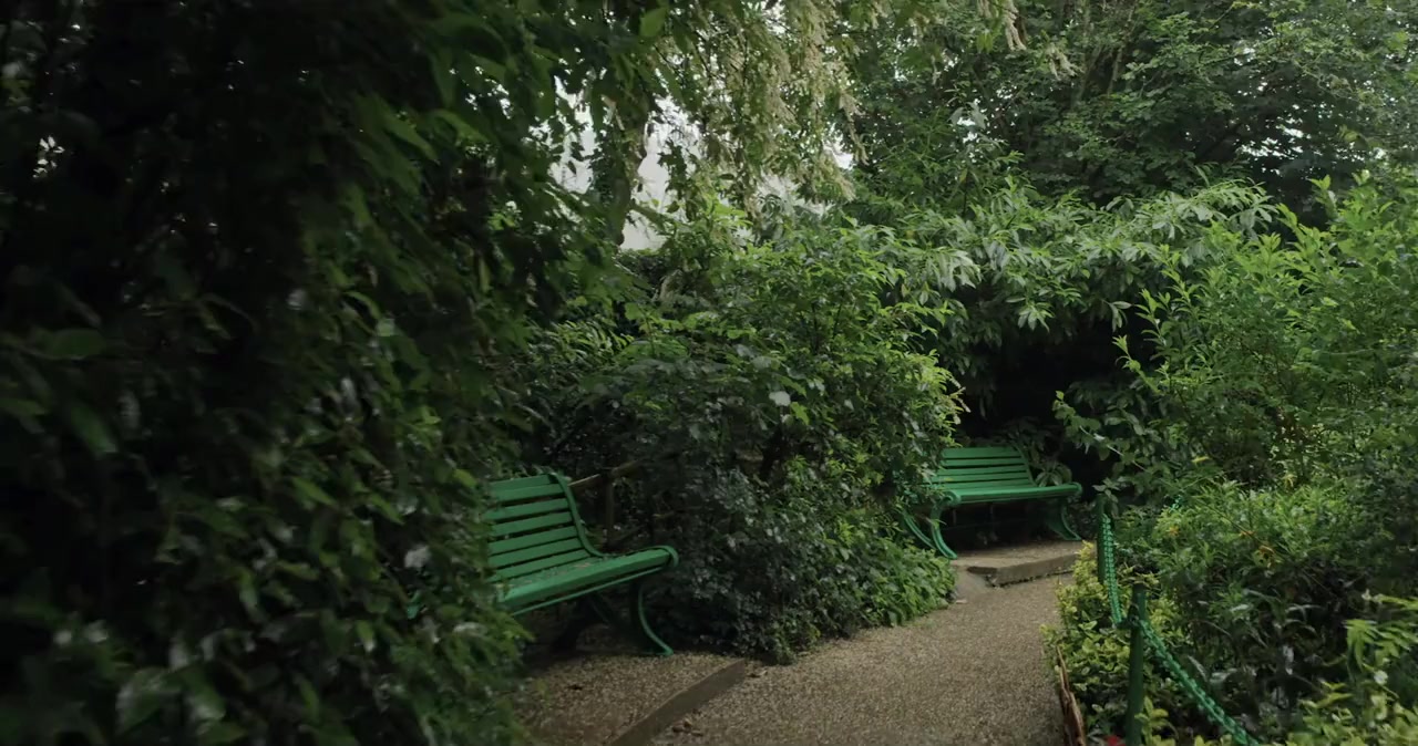 Le ninfee di Monet - Un incantesimo di acqua e luce screenshot 1