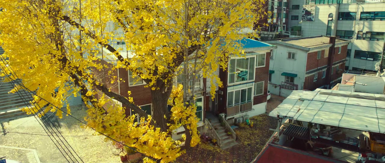 Jibeuro ganeun gil screenshot 1