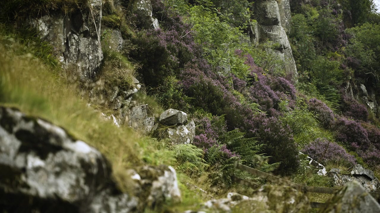 Wayfinder screenshot 1