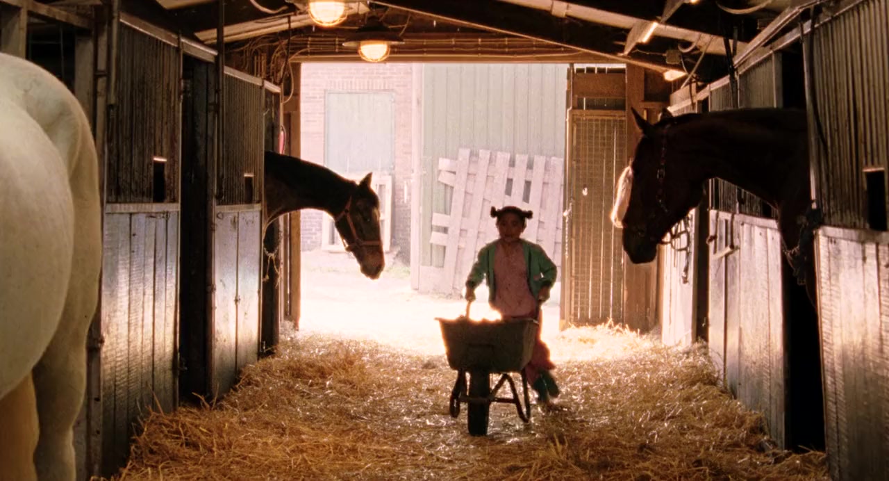 Waar is het paard van Sinterklaas? screenshot 1