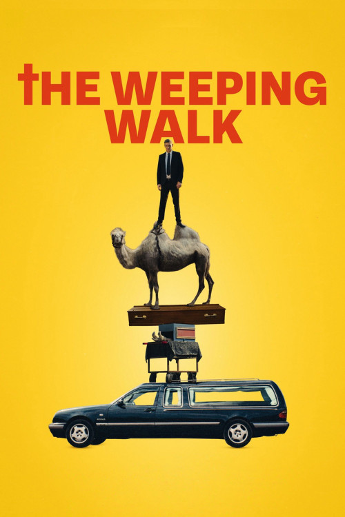 Waarom Wettelen (2024) poster