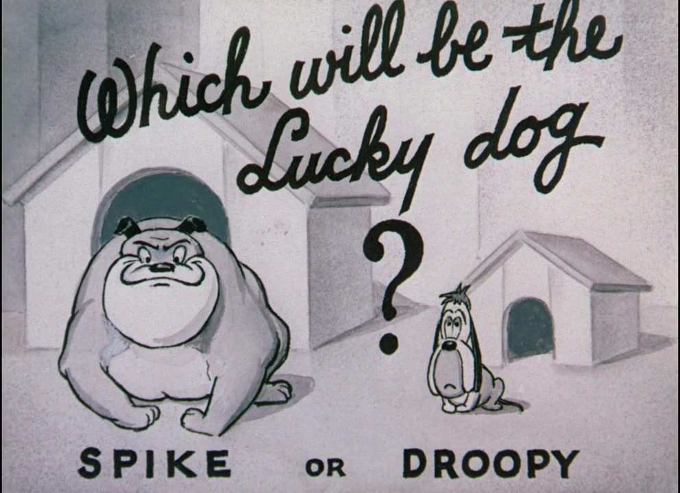 Wags to Riches screenshot 2