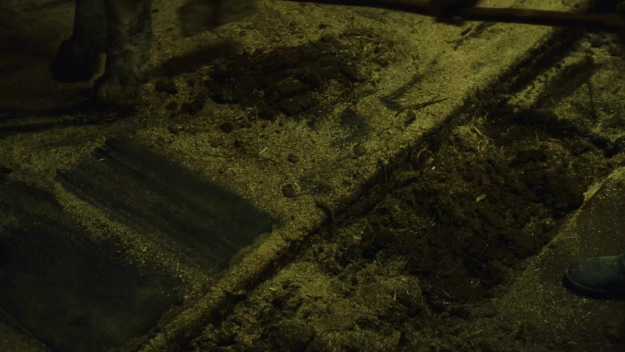 Waidmannsdank screenshot 1