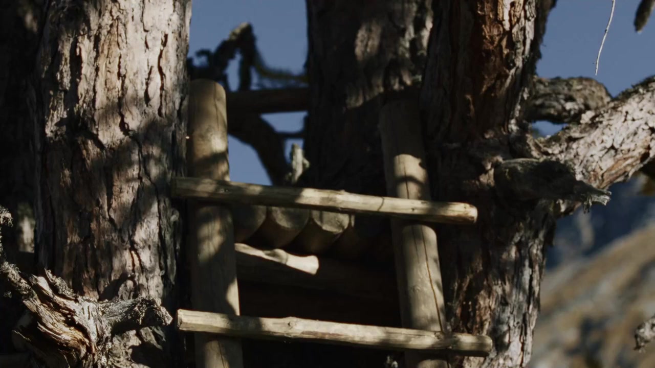 Waidmannsdank screenshot 2