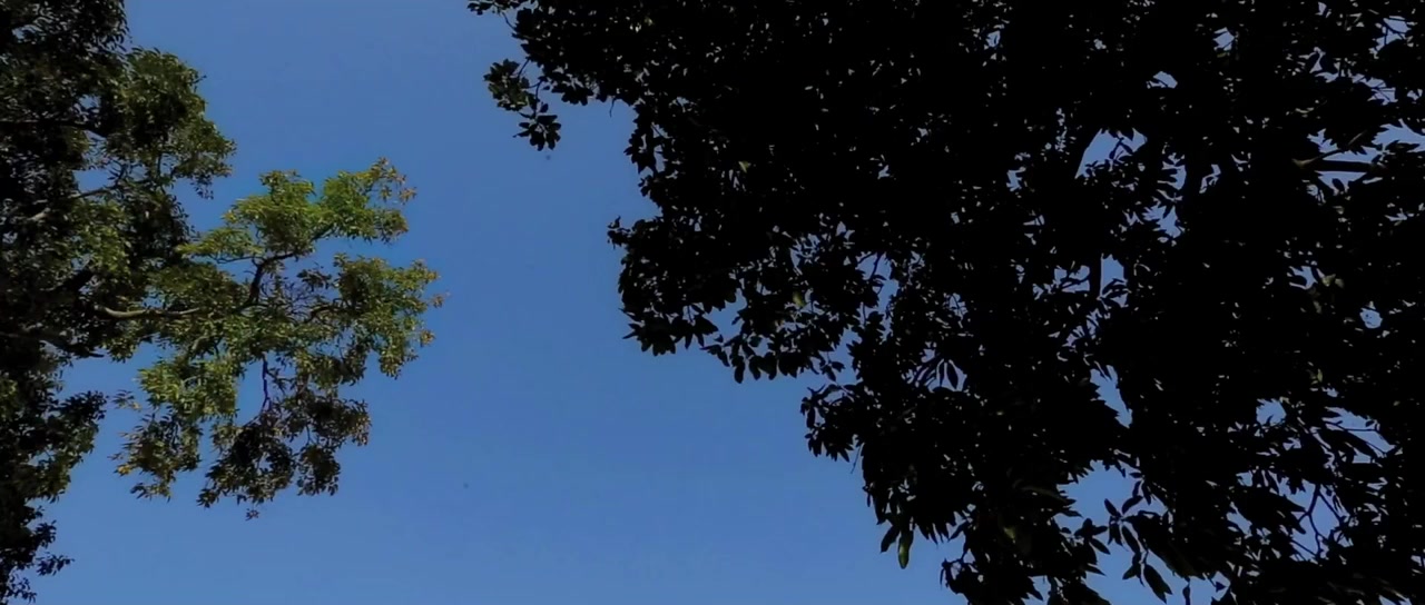 Wake Up Singh screenshot 2