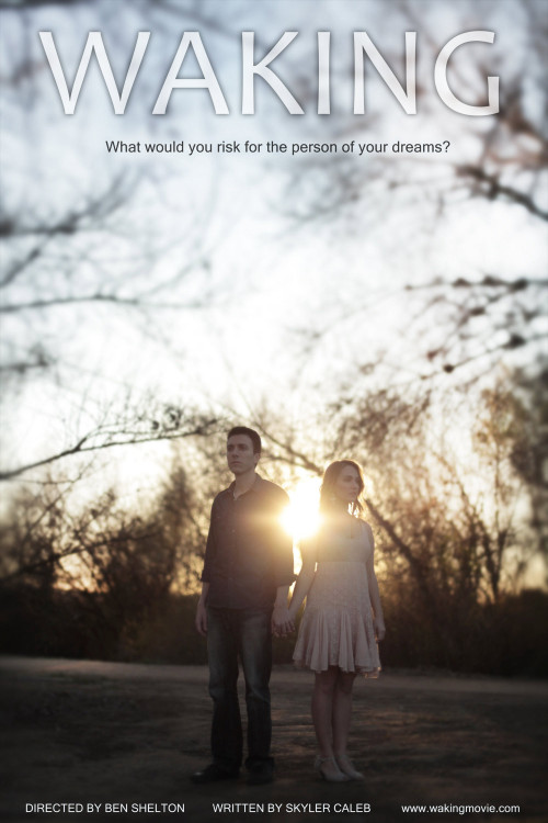 Waking (2013) poster