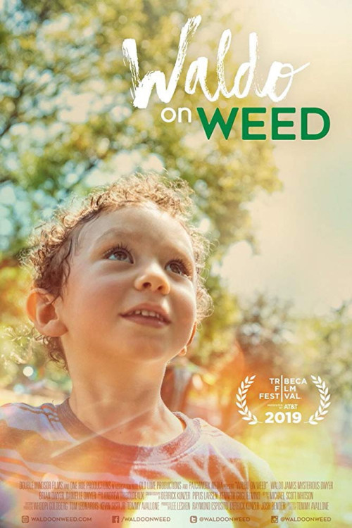 Waldo on Weed (2019) poster