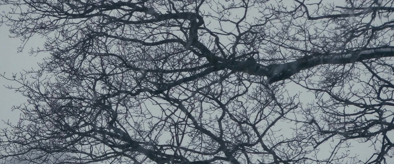 Walk with Me screenshot 1