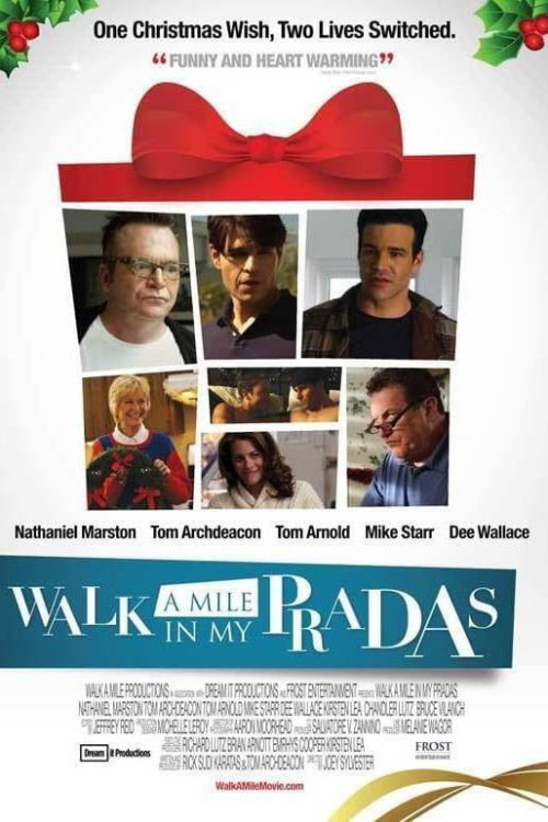 Walk a Mile in My Pradas (2011) poster