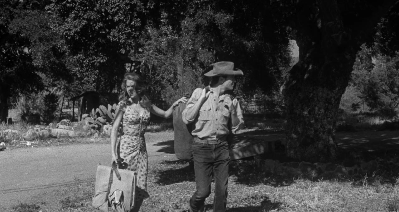 Walk on the Wild Side screenshot 1
