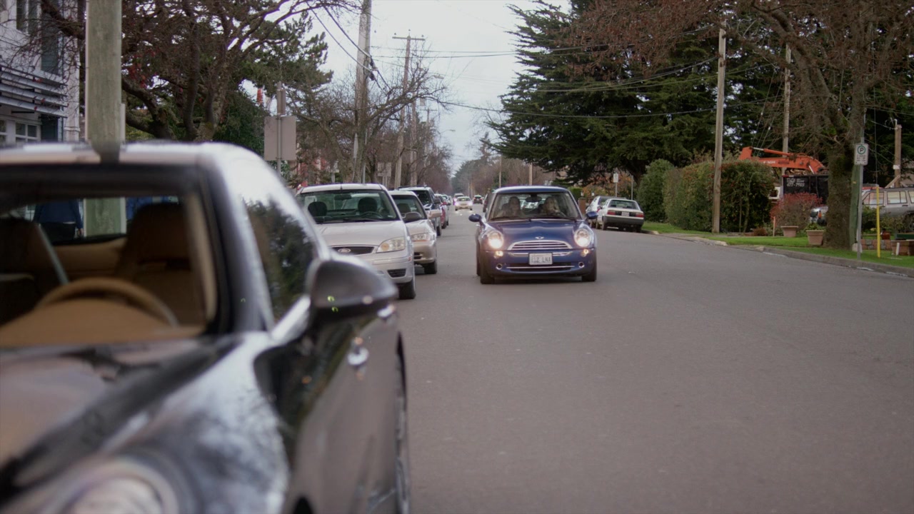Walking the Dog screenshot 3