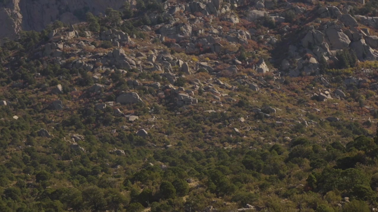 Walking with the Tall Whites: Aftermath screenshot 2