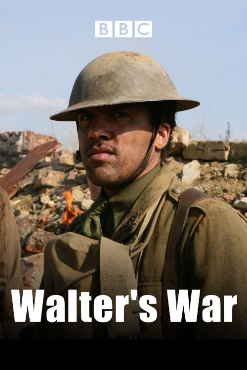 Walter's War (2008) poster