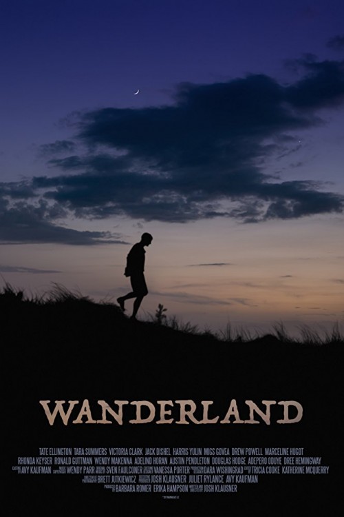 Wanderland (2018) poster