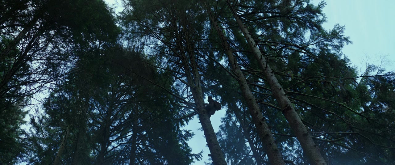 War for the Planet of the Apes screenshot 1