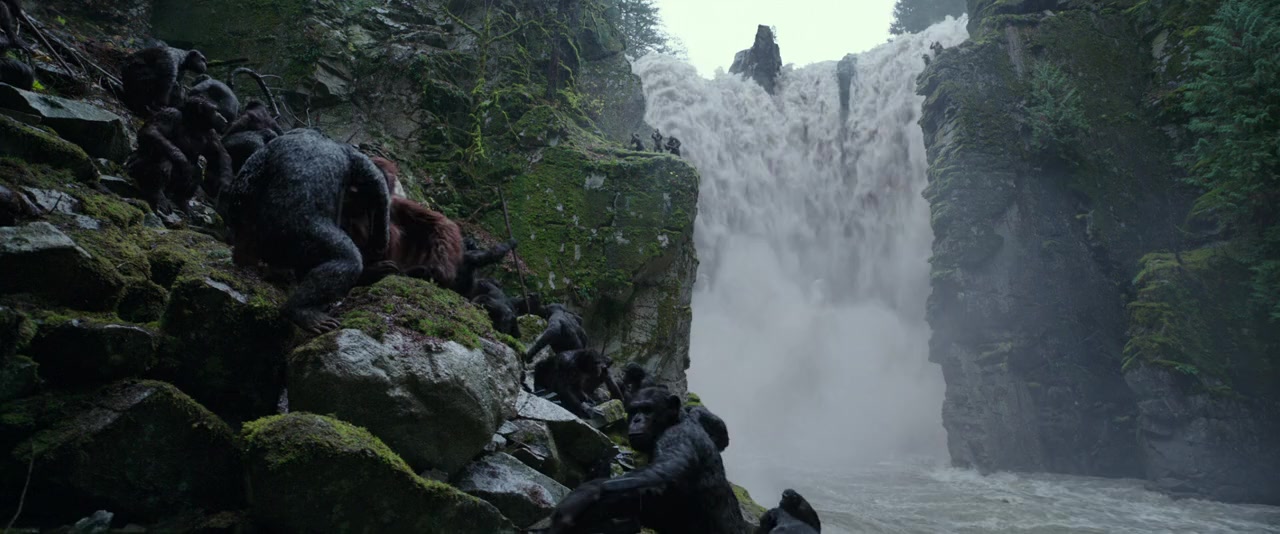 War for the Planet of the Apes screenshot 2